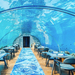 Lunch-at-an-Underwater-Restaurant