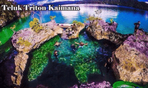 Teluk-Triton-Kaimana
