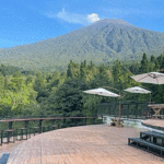 This-Bali-Style-Resort-with-Mount-Slamet-Views