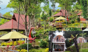 glamping-gunung-ceremai