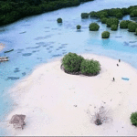 Exploring-Pari-Island-by-Bike-and-Budget-Homestays