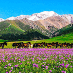 Hidden-Paradise-that-Resembles-the-European-Alps