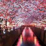 Japan-Becomes-the-Favorite-Spring-Travel-Destination-2026
