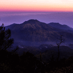 gunung-lawu-malamhari
